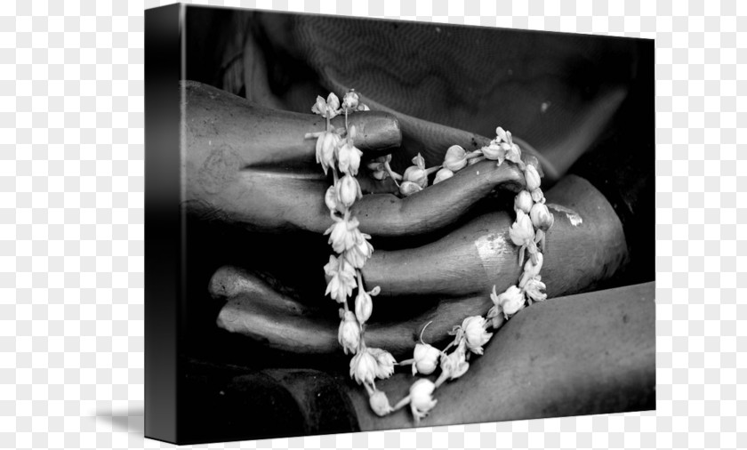 Buddha Hand Gallery Wrap Photography Art Still Life Canvas PNG
