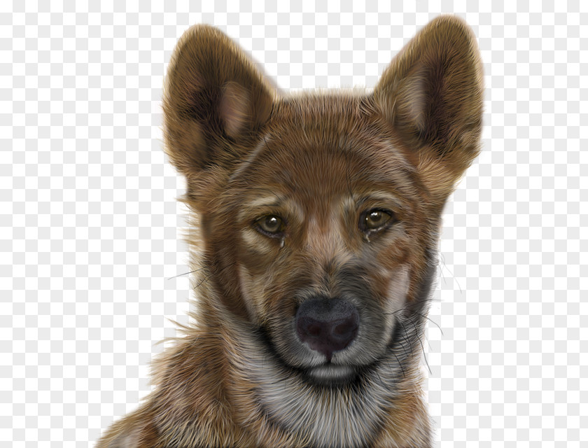 Computer Saarloos Wolfdog Kunming Dog Breed Adobe Photoshop Graphics PNG