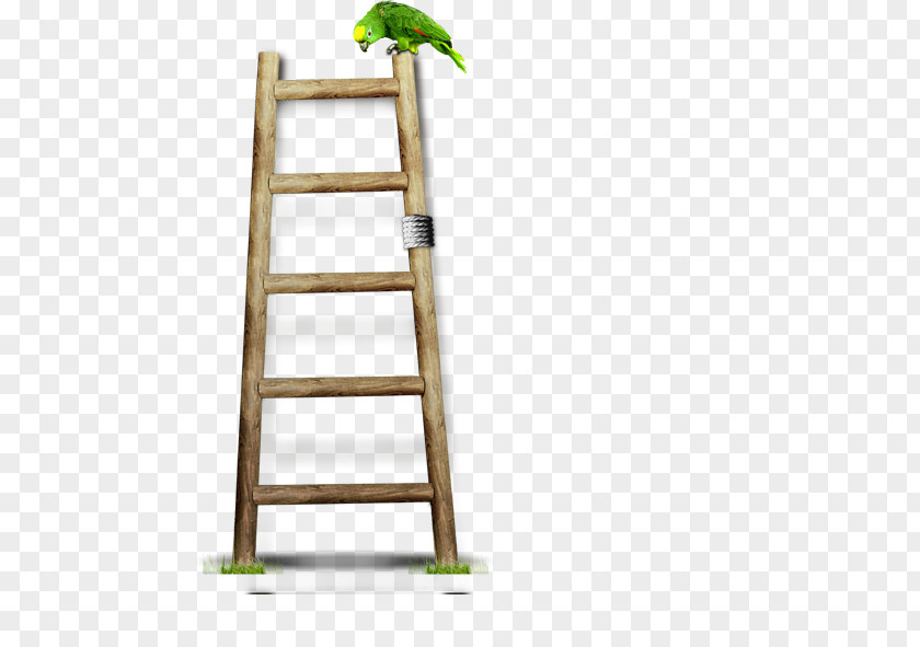 Ladder Wood Stairs PNG