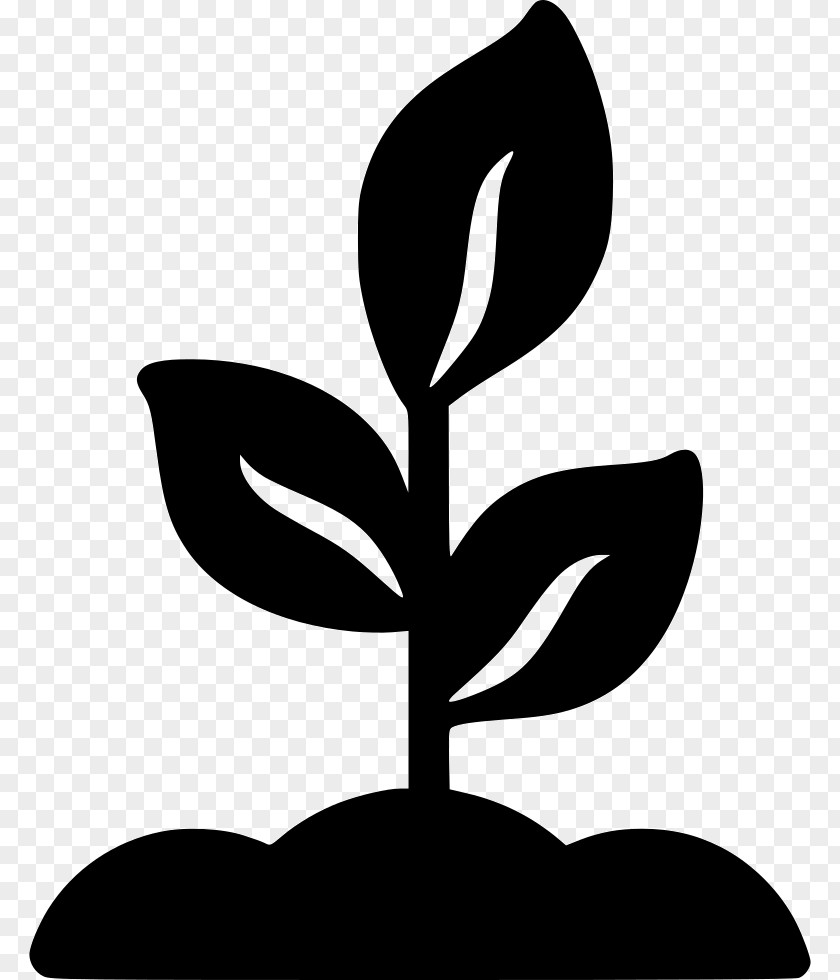 Plants Logo Vector Graphics Shutterstock PNG