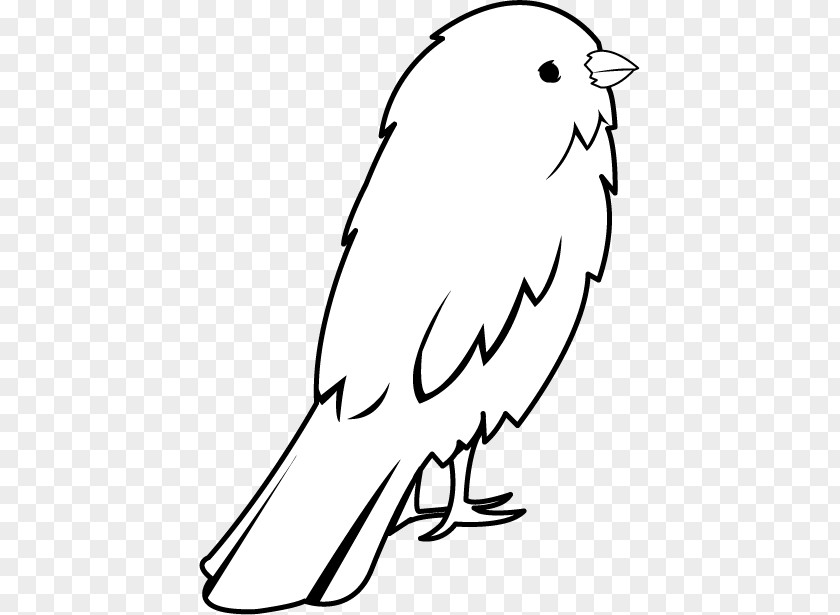 SMALL BIRD Domestic Canary Clip Art Drawing Openclipart Big Bird PNG