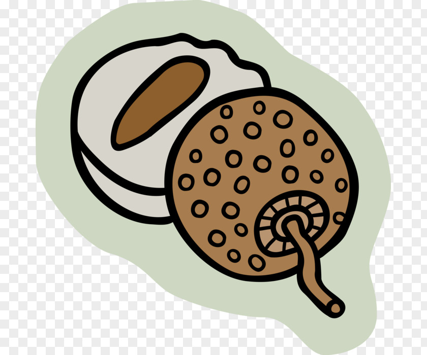 Snail Product Clip Art PNG