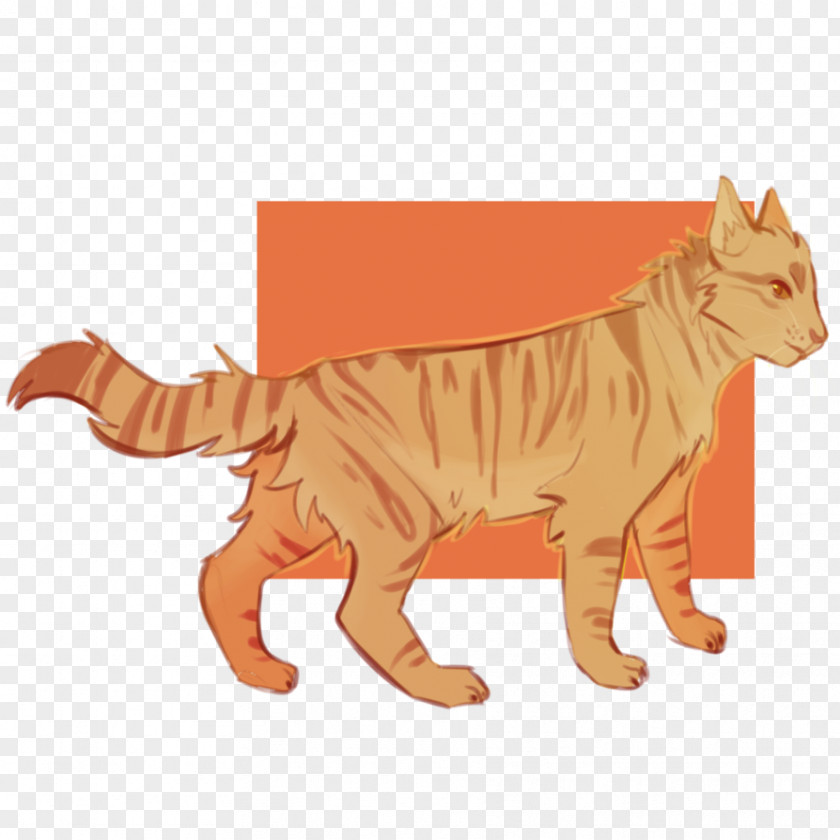 Tiger Cat Into The Wild Warriors Thornclaw PNG