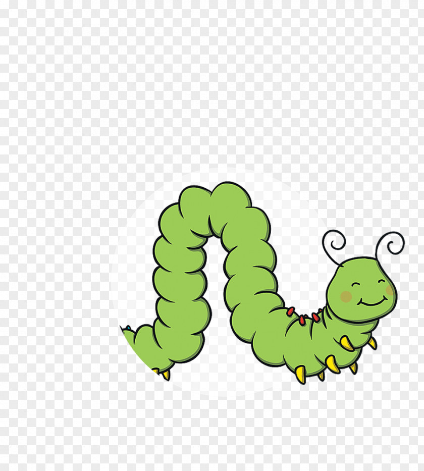 Caterpillar Clip Art Teacher Twinkl Handwriting PNG