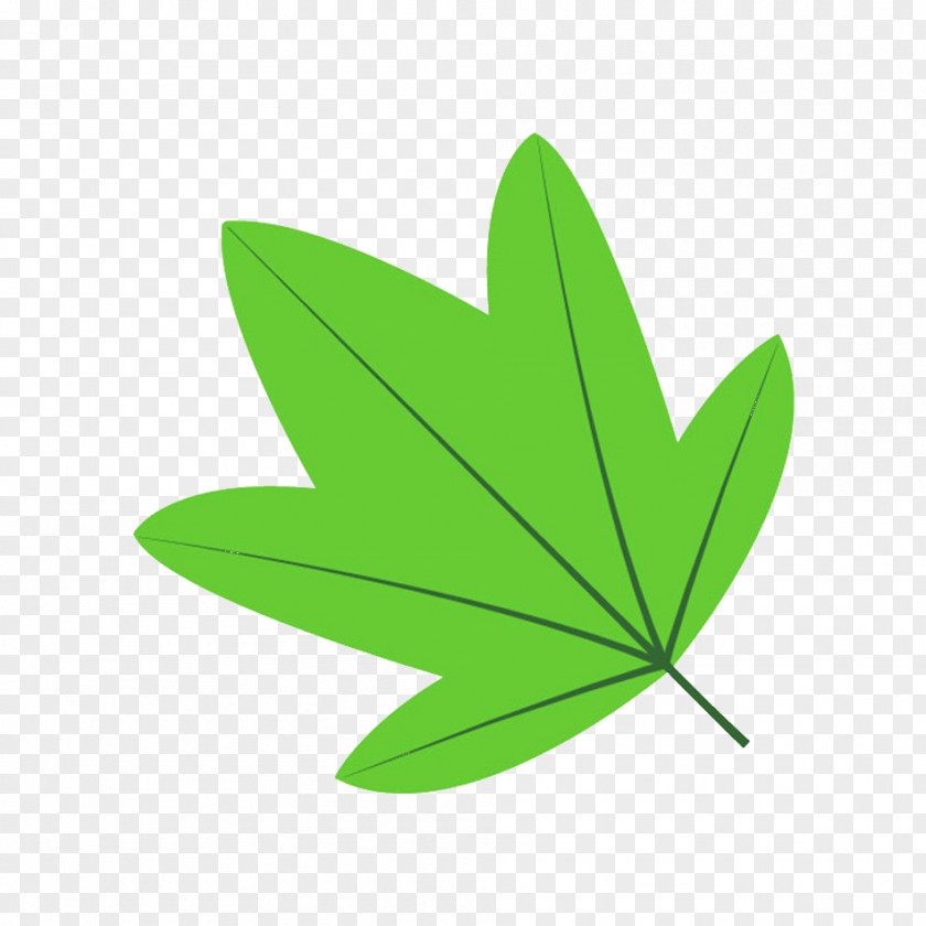 Leaf Petal Clip Art PNG