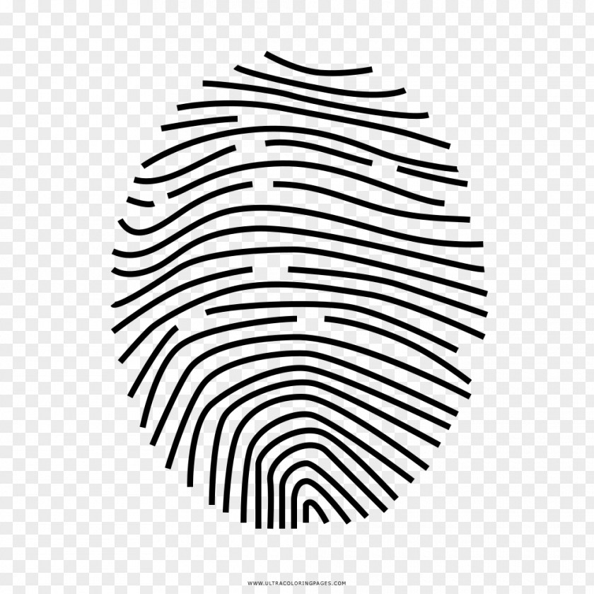 Multi Colored Fingerprint Without Watermark Stock Photography Royalty-free Vector Graphics Illustration Shutterstock PNG