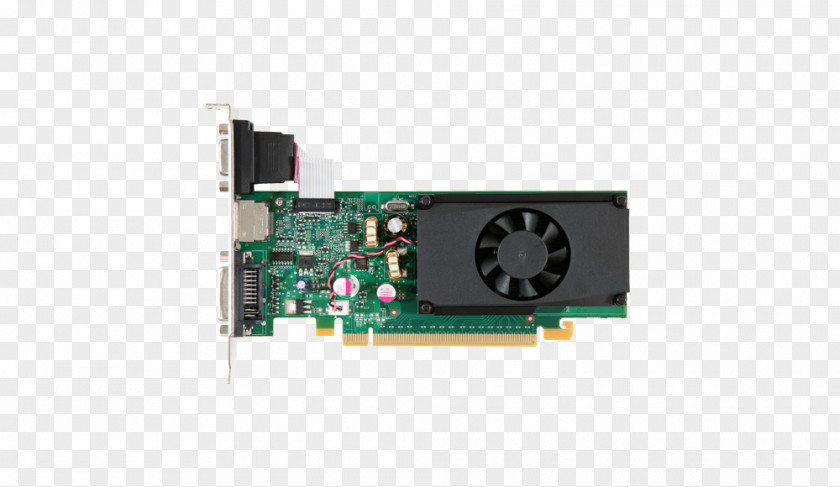 Nvidia Graphics Cards & Video Adapters NVIDIA GeForce 210 DDR3 SDRAM PNG