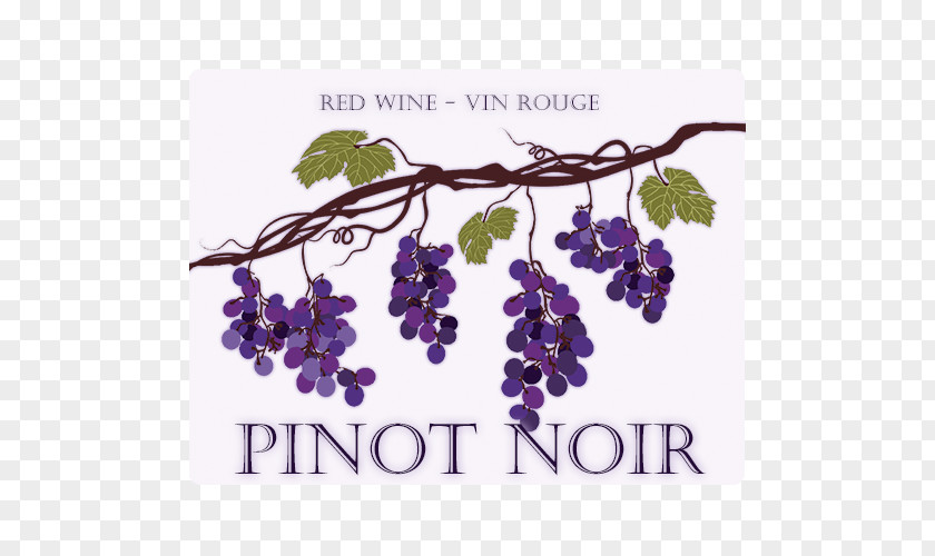 Remove Wine Lables Grape Pinot Noir PNG