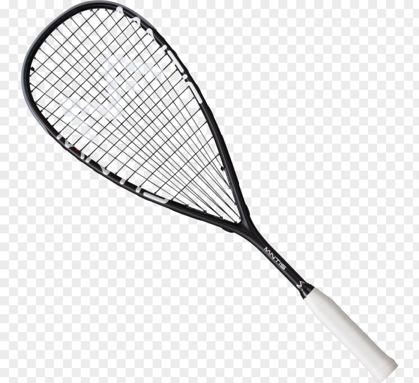 Ball Racket Squash Strings Sport PNG