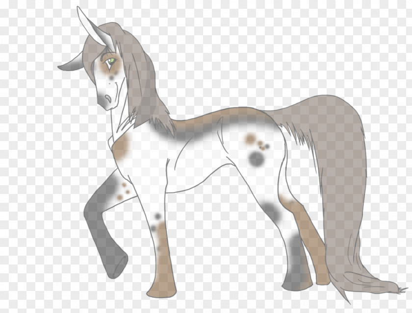 Tail Mare Unicorn PNG