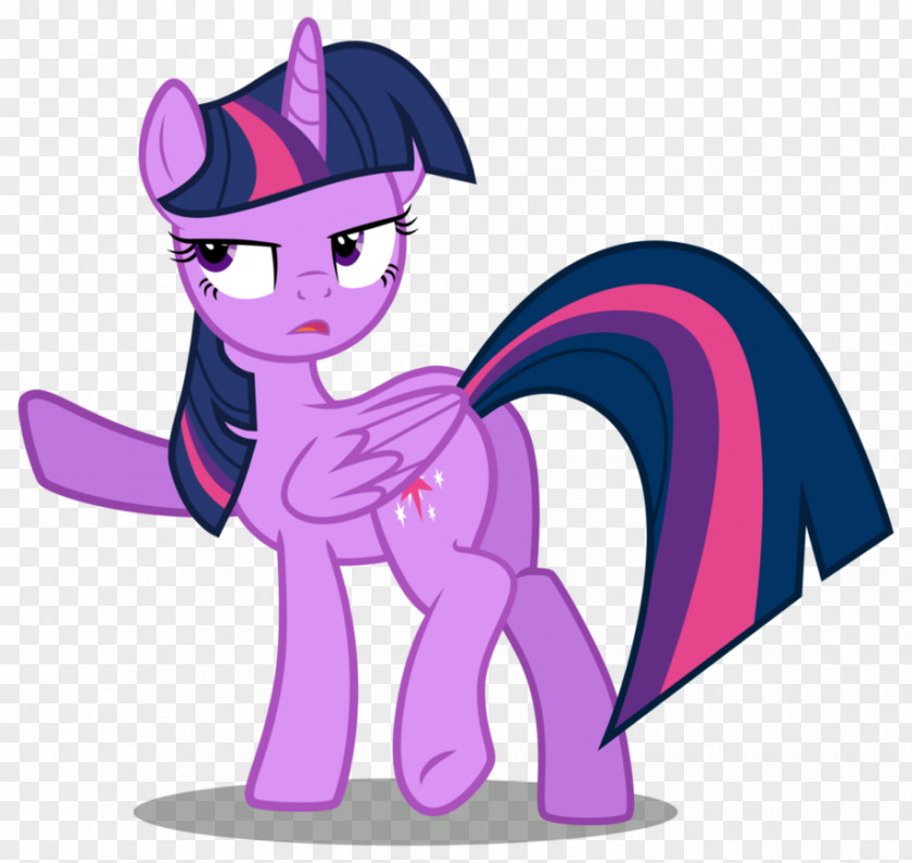 Twilight Sparkle Rarity Applejack Pinkie Pie Rainbow Dash PNG