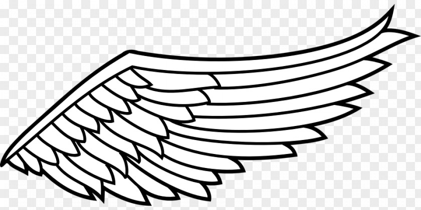 Wing Download Clip Art PNG
