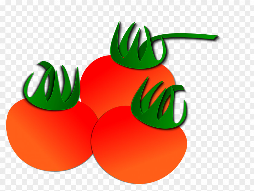 3 Tomatoes Transparent Background Material Tomato Vegetables Fruit Clip Art PNG
