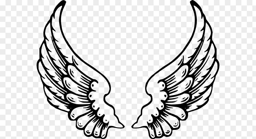 Angle Wing Angel Clip Art PNG