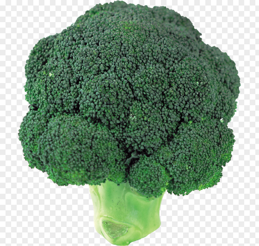 Brocoli Broccoli Slaw Clip Art PNG