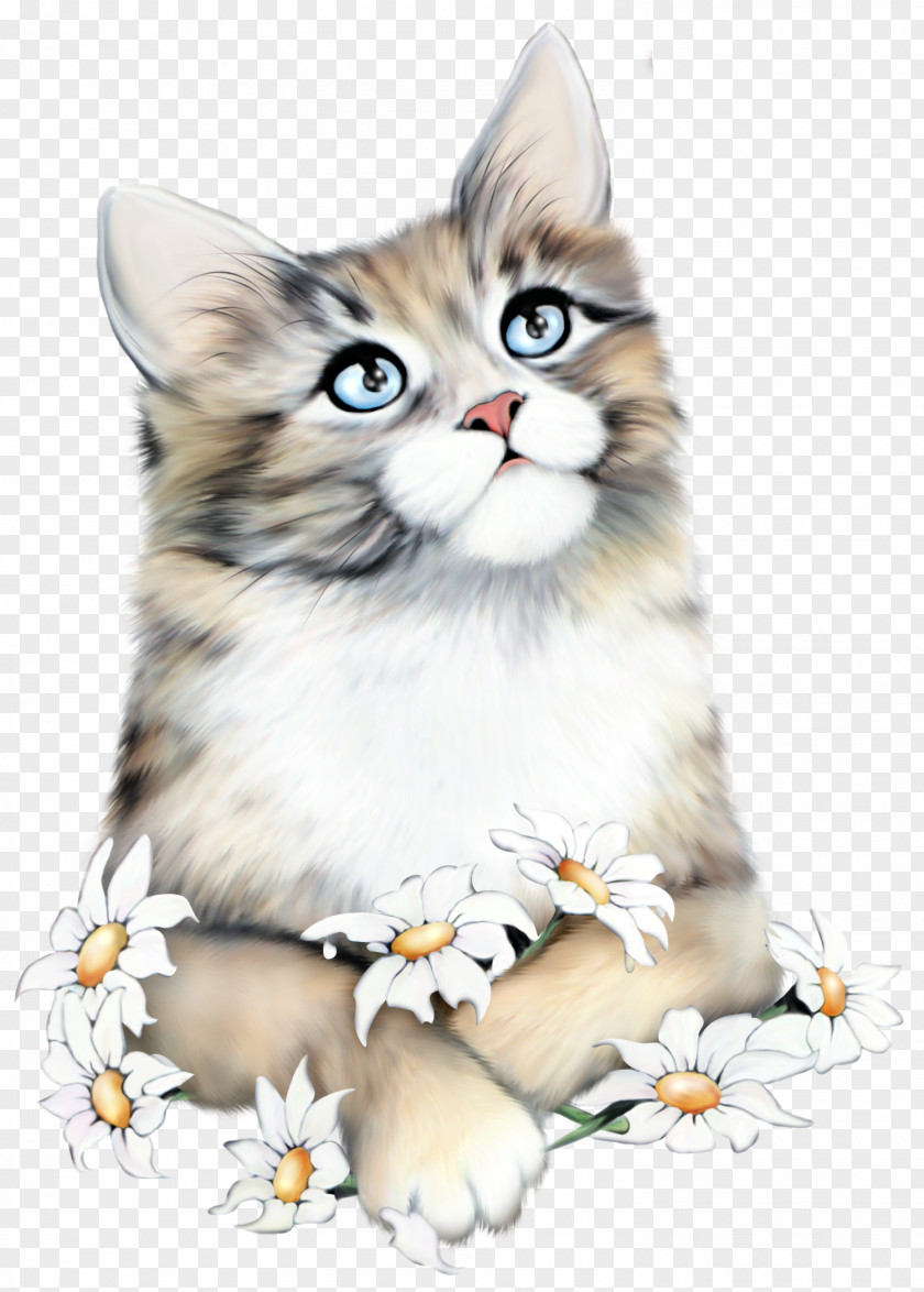 Cute Cat Kitten Love Daytime Diary PNG