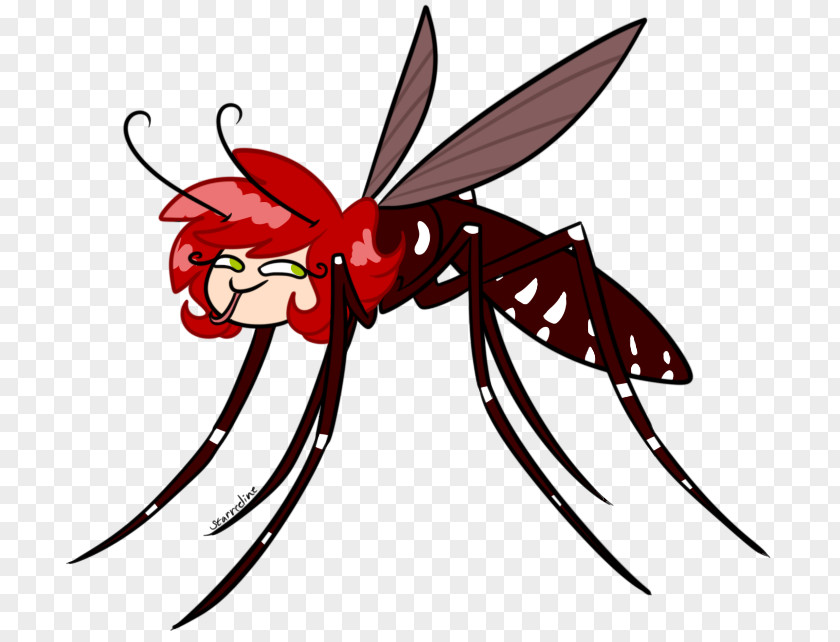 Mosquito Insect Pollinator Cartoon Clip Art PNG