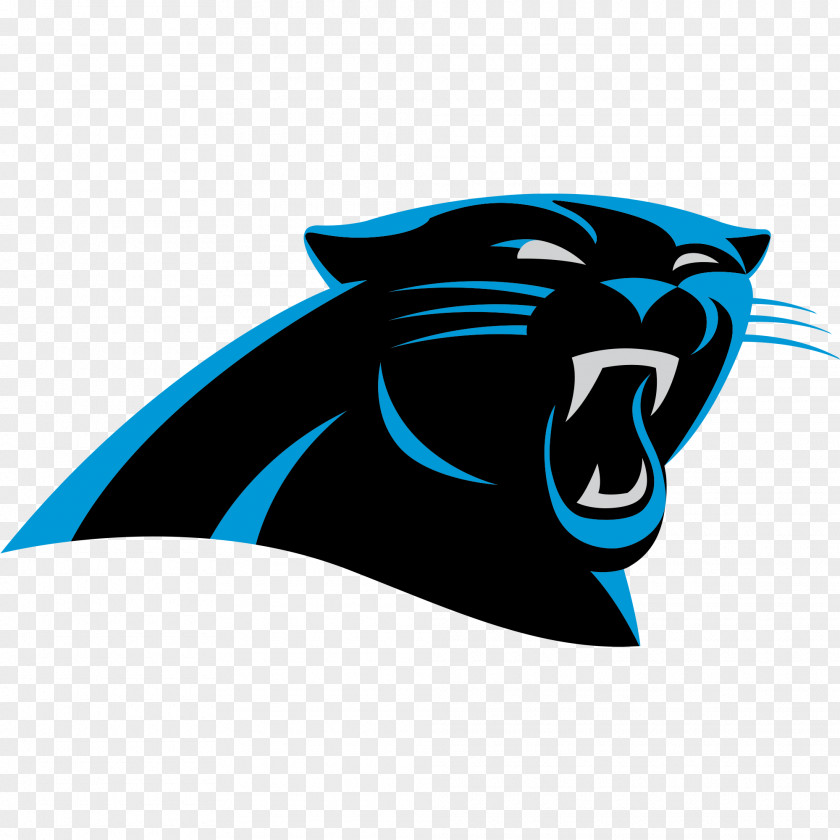 NFL Carolina Panthers New Orleans Saints North Atlanta Falcons PNG