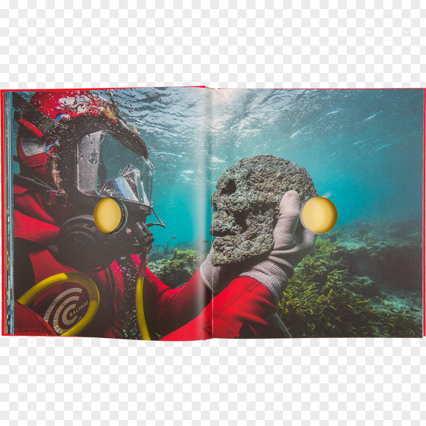 Book Organism Marine Biology Treasures From The Wreck Of Unbelievable PNG