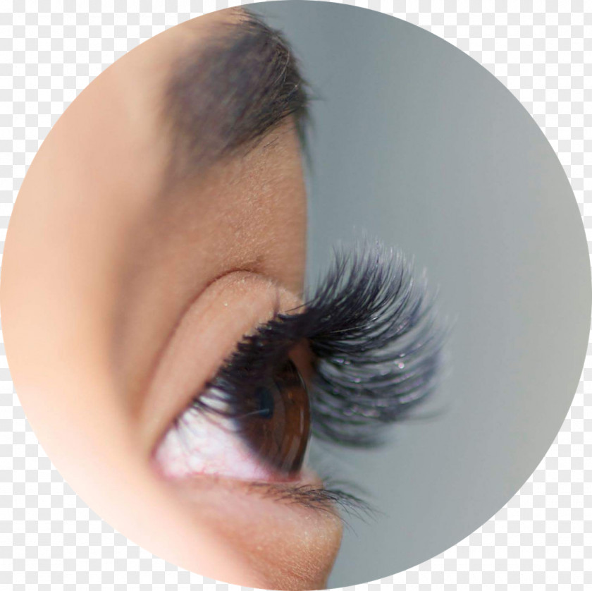 Eyelash Extension Extensions Training Eye Shadow Artificial Hair Integrations PNG