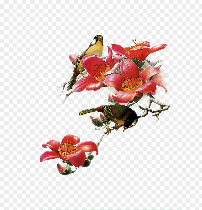 Bird China Art Painting Painter PNG