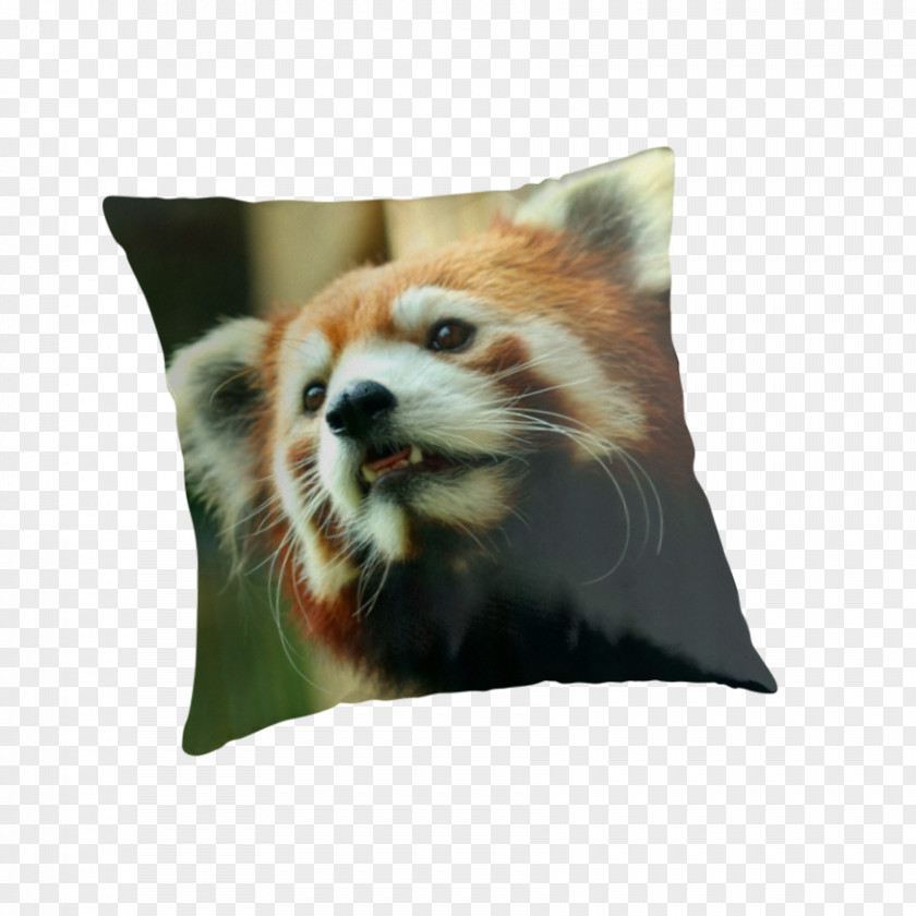 Red Panda Throw Pillows Cushion Whiskers Giant PNG