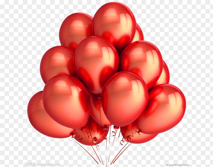 Red Simple Balloon Decoration Pattern Amazon.com Gold Party Birthday PNG