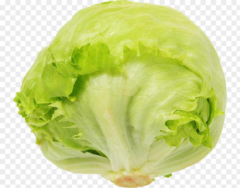 Vegetable Romaine Lettuce Salad Cooking PNG