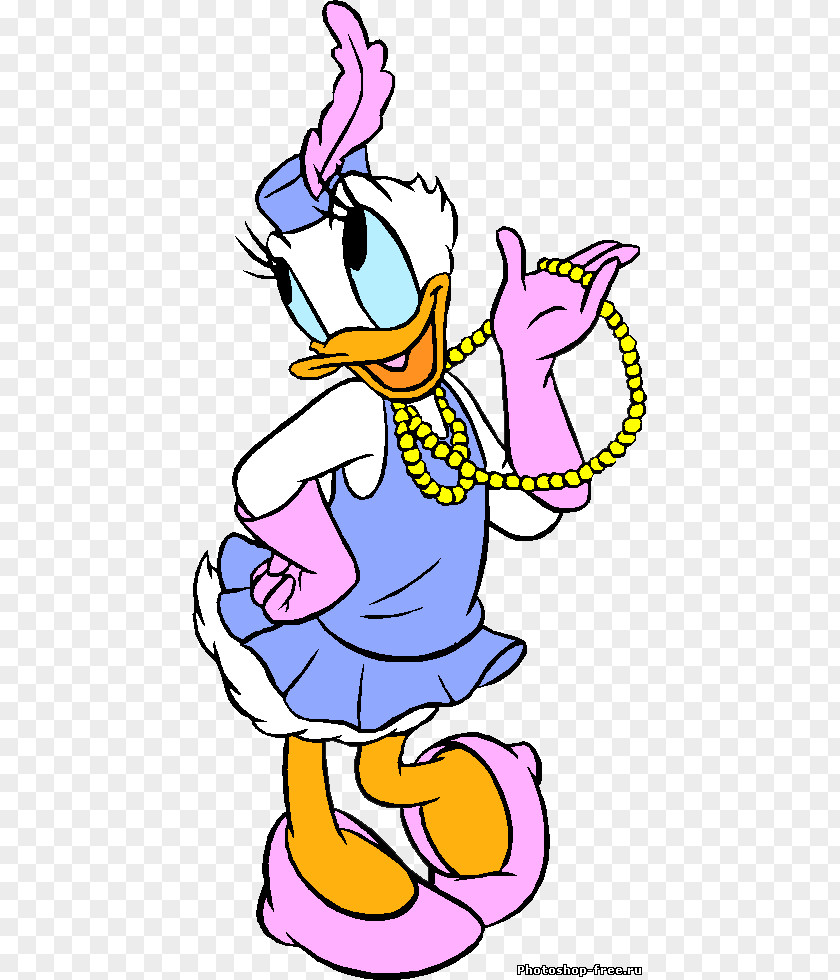 Donald Duck Daisy Drawing PNG
