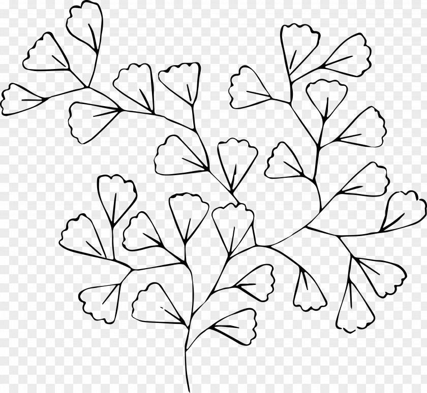 Greenery Black And White Line Art Flower Drawing Clip PNG