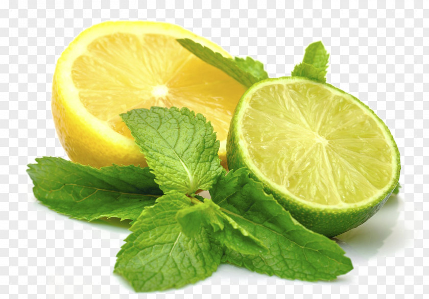 Lemon Lemon-lime Drink Key Lime Juice PNG