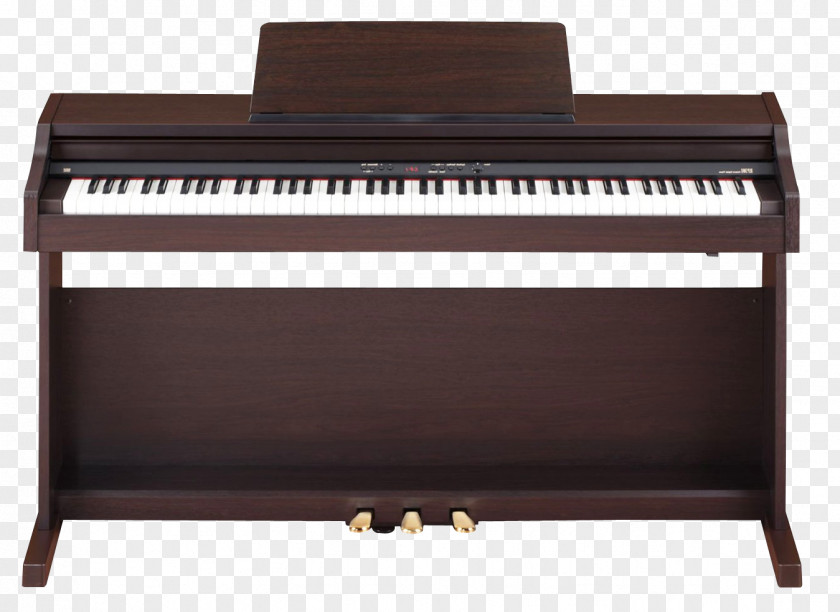 Piano Digital Roland Corporation Keyboard Electric PNG