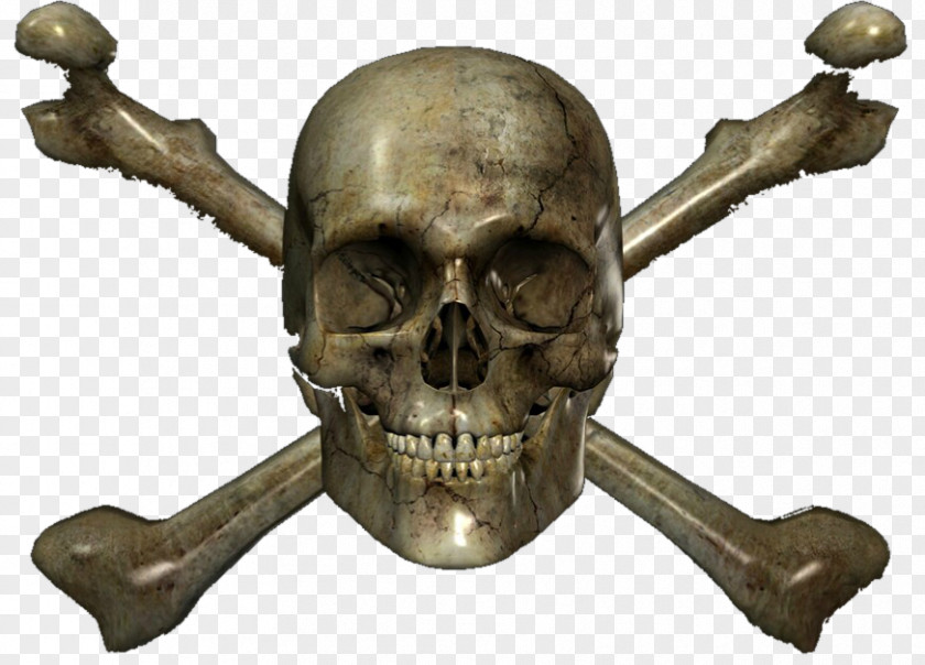 Skull Skeleton PNG