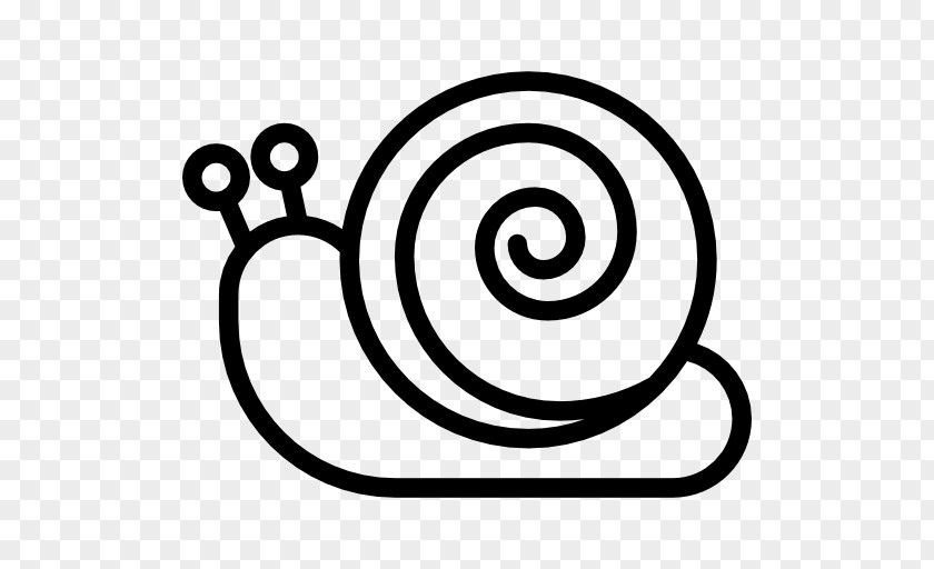 Snail Slugs And Snails Clip Art PNG