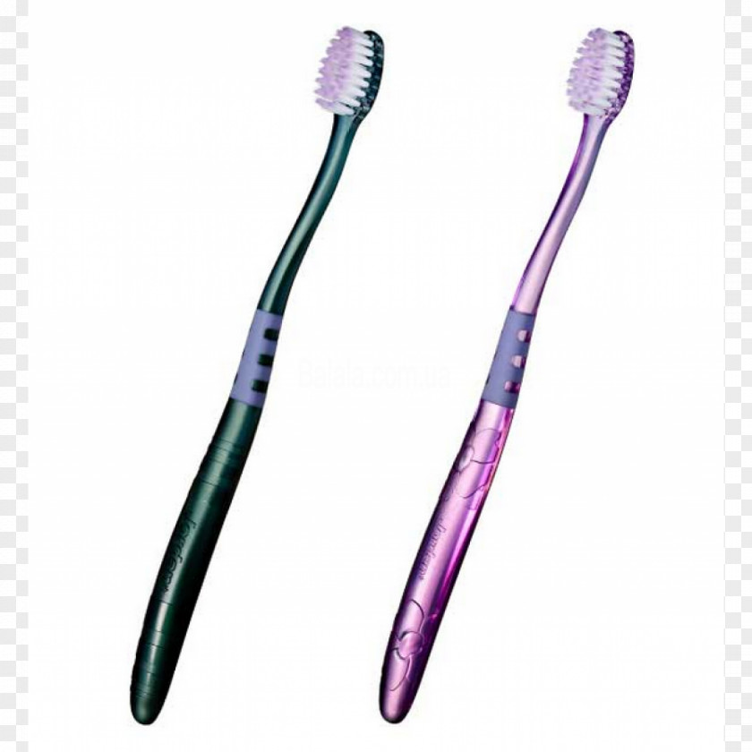 Toothbrash Toothbrush Gums Dentistry PNG