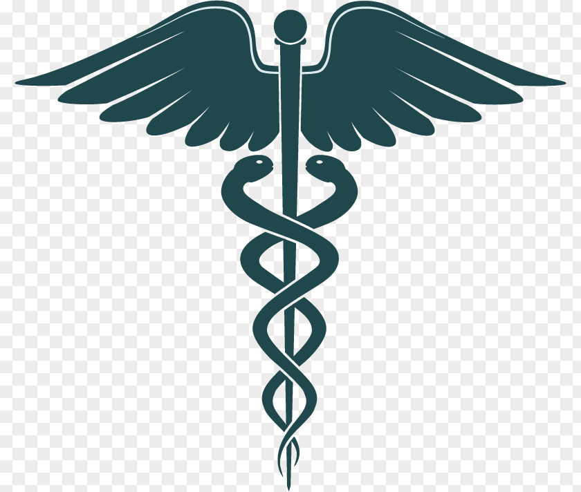 Angel Icon Vector Health Care Medicine Insurance Portability And Accountability Act Management PNG