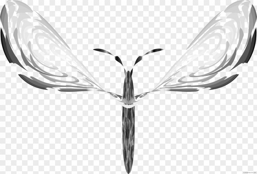 Butterfly Black And White Clipart Symmetry Clip Art Vector Graphics PNG
