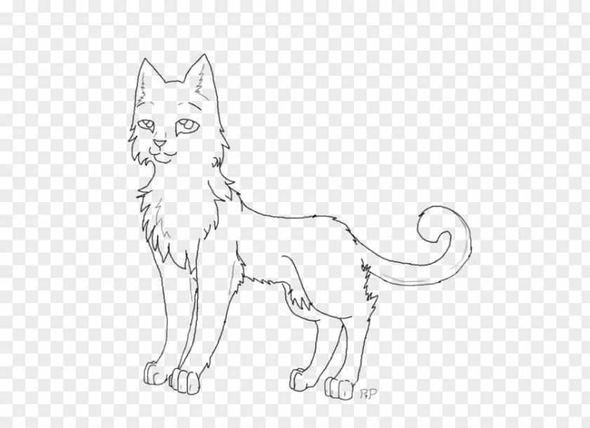 Cat Sketch Whiskers Lion Kitten Coloring Book PNG