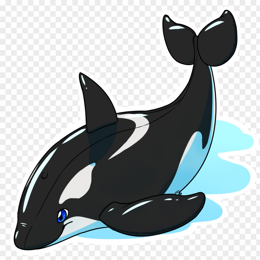 Dolphin Killer Whale Cetacea Sieo New York PNG