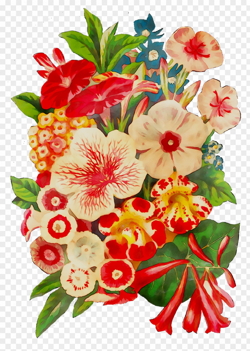 Floral Design Cut Flowers Flower Bouquet PNG