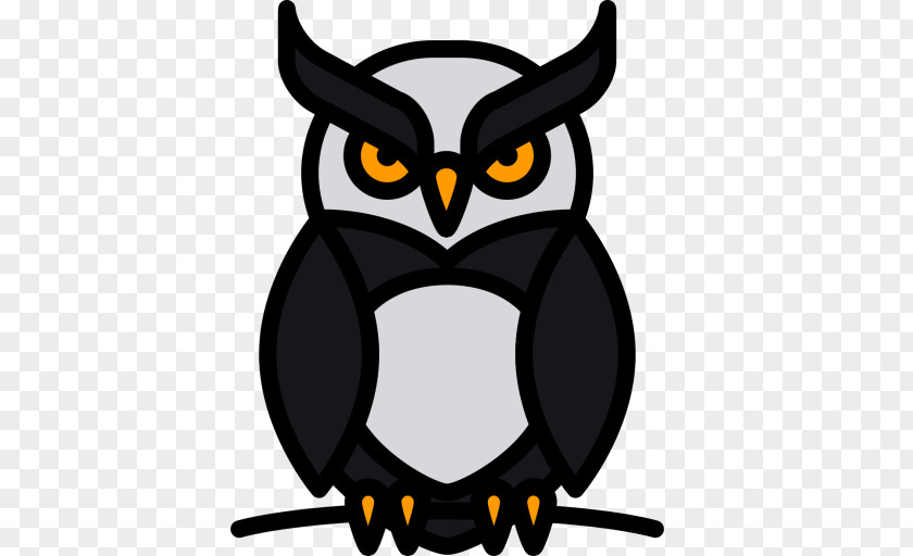 Owl Bird Clip Art PNG