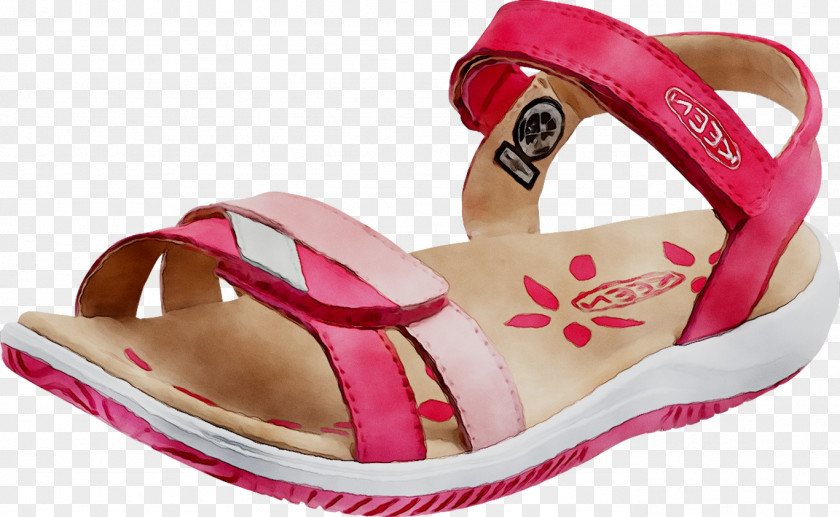 Slide Shoe Sandal Product Walking PNG