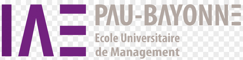 Student University Of Pau And Pays De L'Adour Institut D'Administration Des Entreprises Bayonne PNG