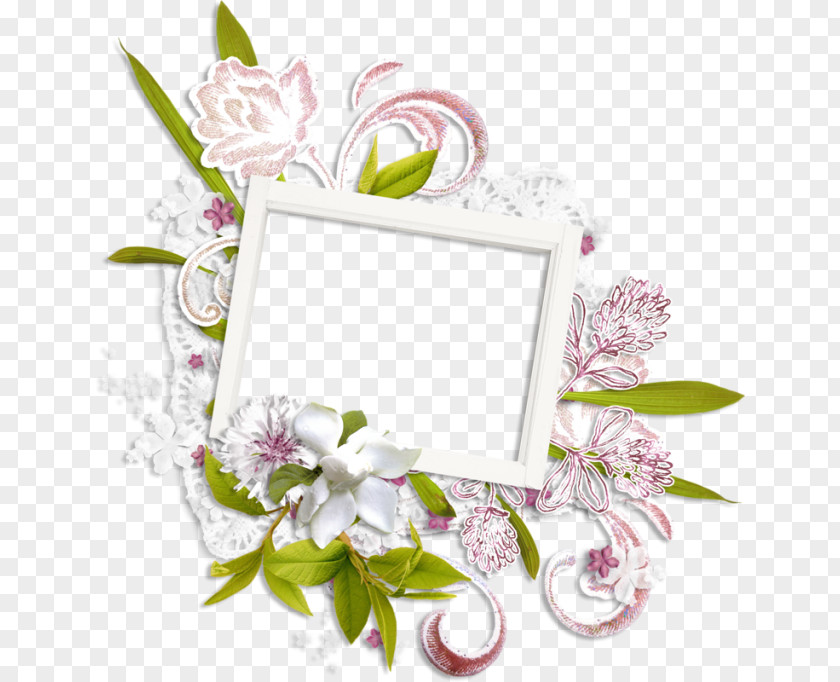 Flower Picture Frames Floral Design PNG