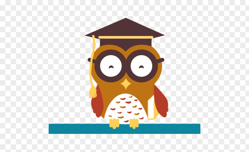 Owl Education Vector Graphics Teacher Image PNG