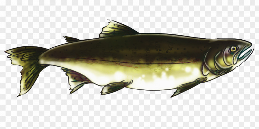 Perch Sockeye Salmon Mouth Cartoon PNG