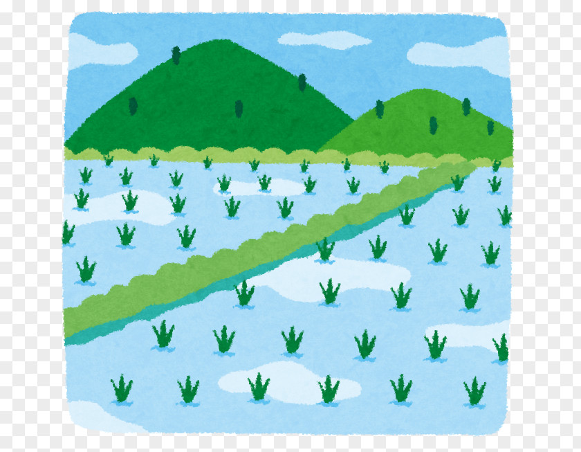 Rice Fields Paddy Field Ministry Of Agriculture, Forestry And Fisheries Kawauchi PNG