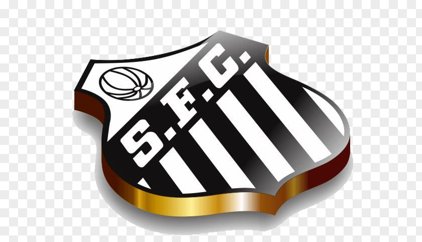 Santos FC Santos, São Paulo CR Vasco Da Gama Esporte Clube XV De Novembro Copa Do Brasil PNG