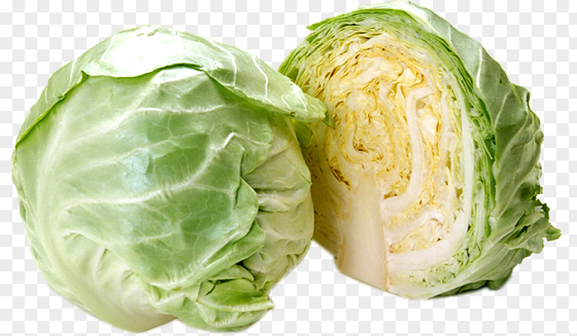 Cabbage Chinese Cauliflower Broccoli PNG