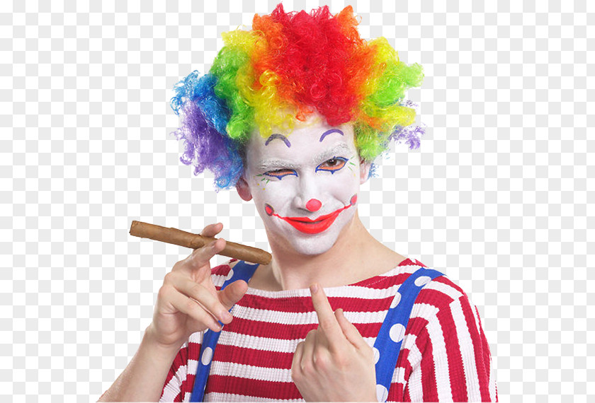 Clown Hair Coloring Wig The Greatest Show On Earth PNG
